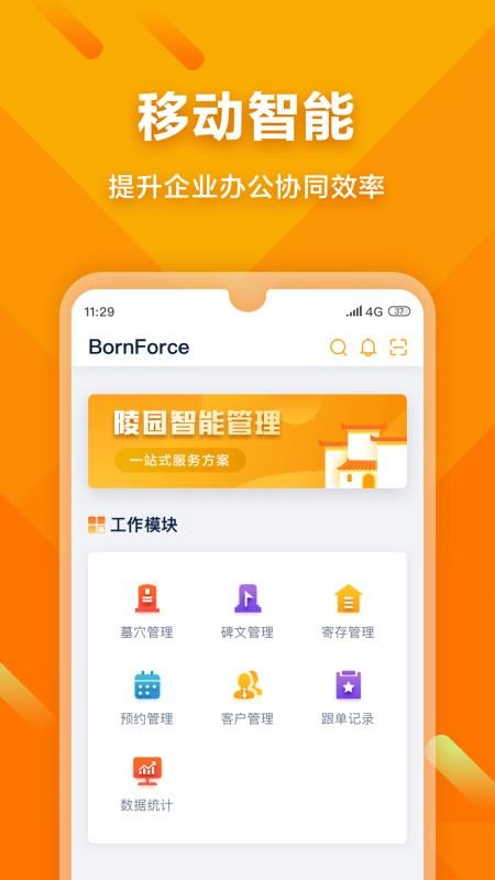 BornForce(2)