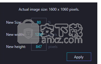 Ashampoo Photo Optimizer(图像优化软件下载)
