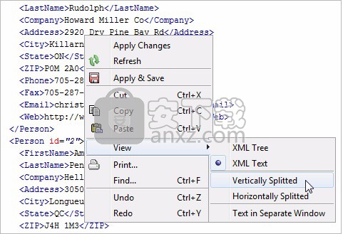 Easy XML Editor(XML编辑器)
