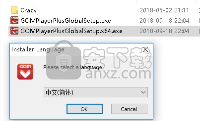 gom player plus中文