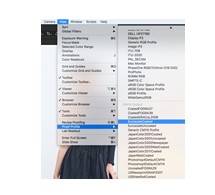 Capture One Pro 8.1