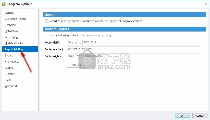 Key Metric Software FolderSizes(磁盘管理工具)