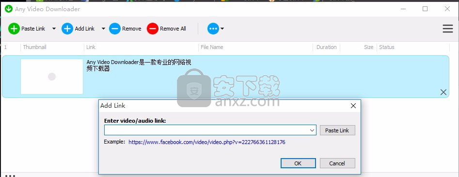 Any Video Downloader(网络视频下载器)