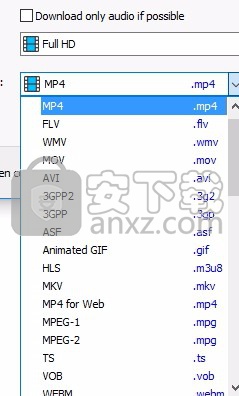 Any Video Downloader(网络视频下载器)