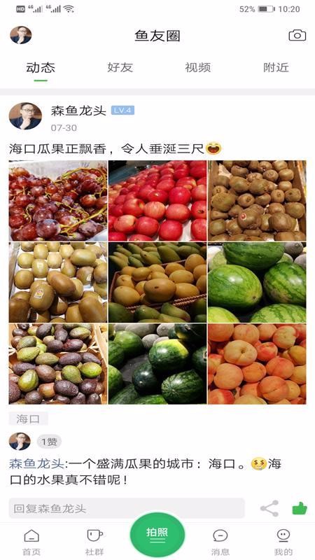 森鱼