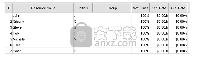 Steelray Project Viewer(mpp文件打开工具)