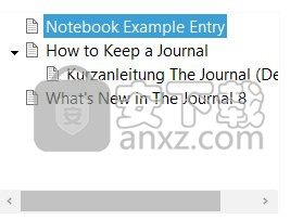 The Journal(密码日记本)