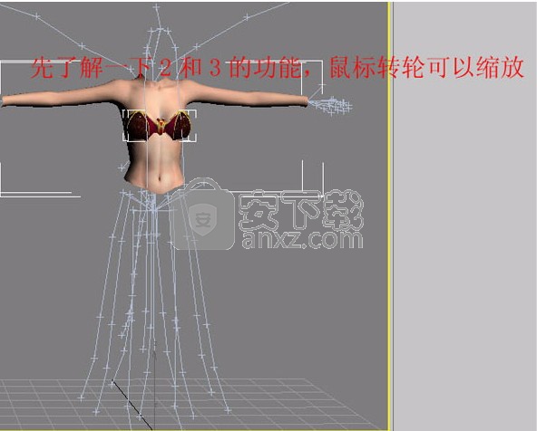 3dmax nif插件