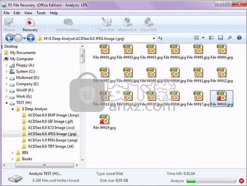 RS File Recovery(文件恢复软件)