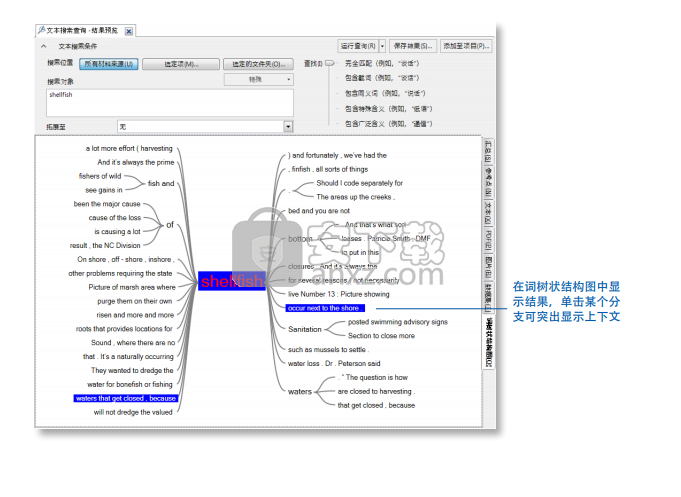 nvivo 11(质性数据分析工具)