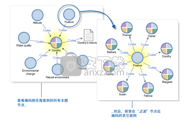 nvivo 11(质性数据分析工具)