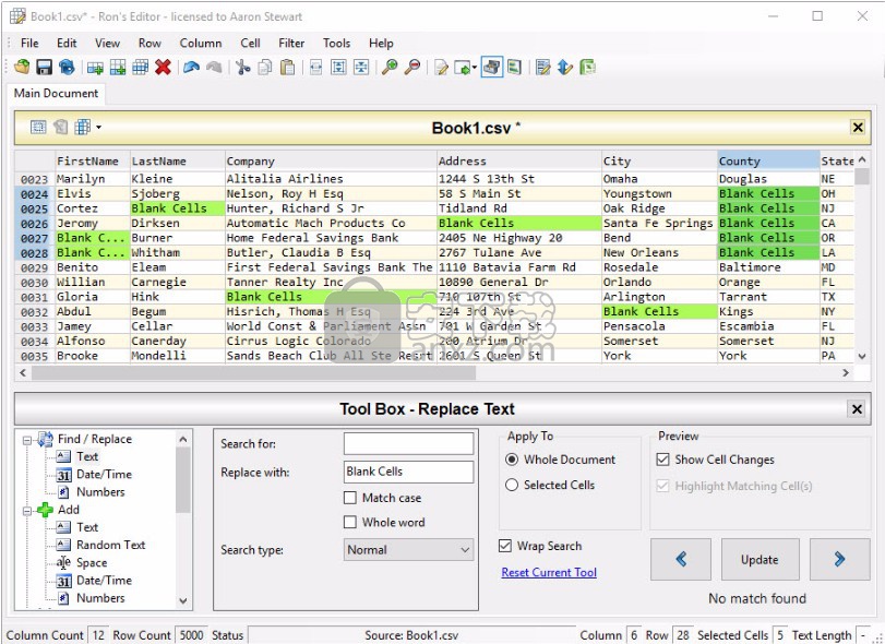 Rons Editor(CSV文件编辑器)