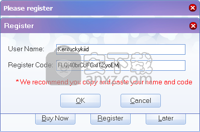 Magic DVD Ripper(DVD电影抓取工具)
