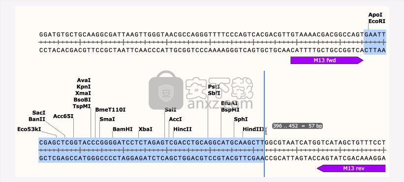 GSL Biotech SnapGene(分子生物学软件)