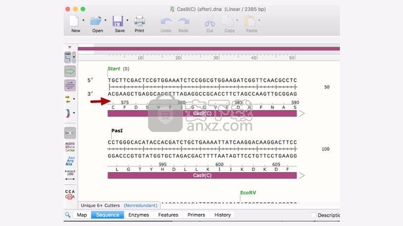 GSL Biotech SnapGene(分子生物学软件)