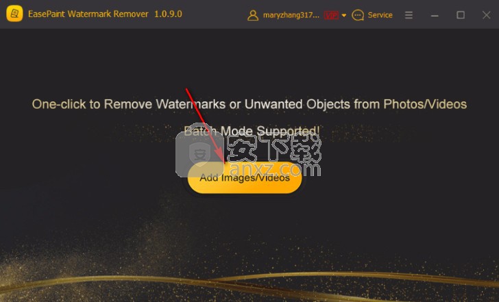 EasePaint Watermark Remover