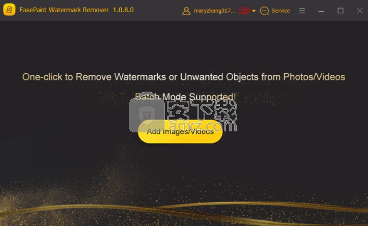 EasePaint Watermark Remover