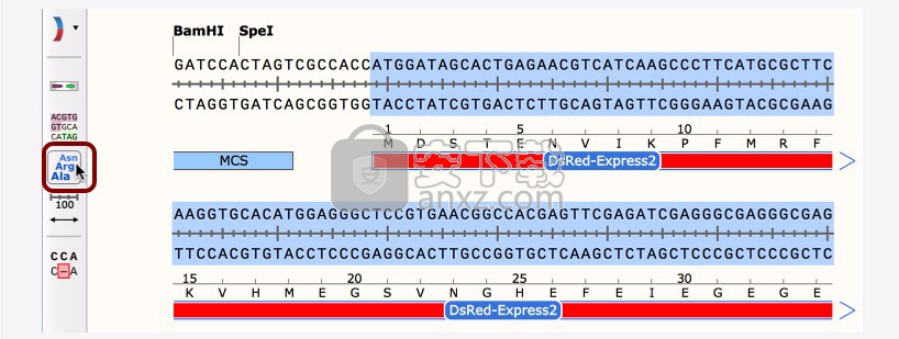 GSL Biotech SnapGene(分子生物学软件)