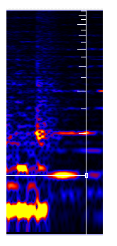 Sonic visualiser(音频分析软件)