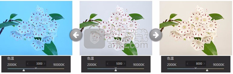 RAW FILE CONVERTER EX(RAW处理工具)