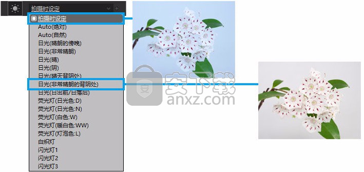 RAW FILE CONVERTER EX(RAW处理工具)