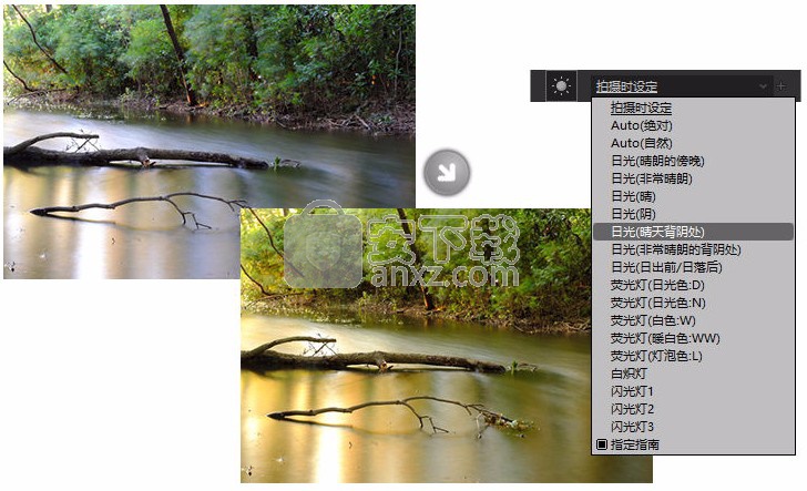 RAW FILE CONVERTER EX(RAW处理工具)