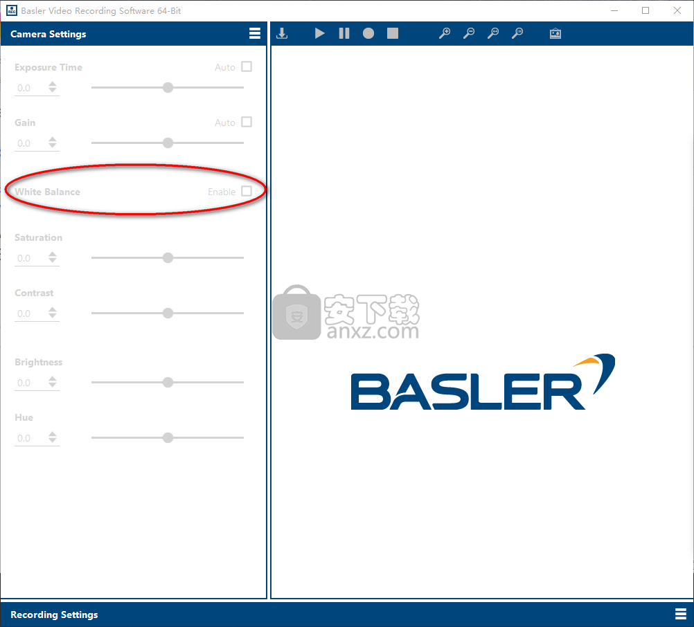  Basler Video Recording Software