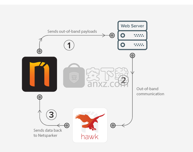 netsparker(web应用扫描工具)