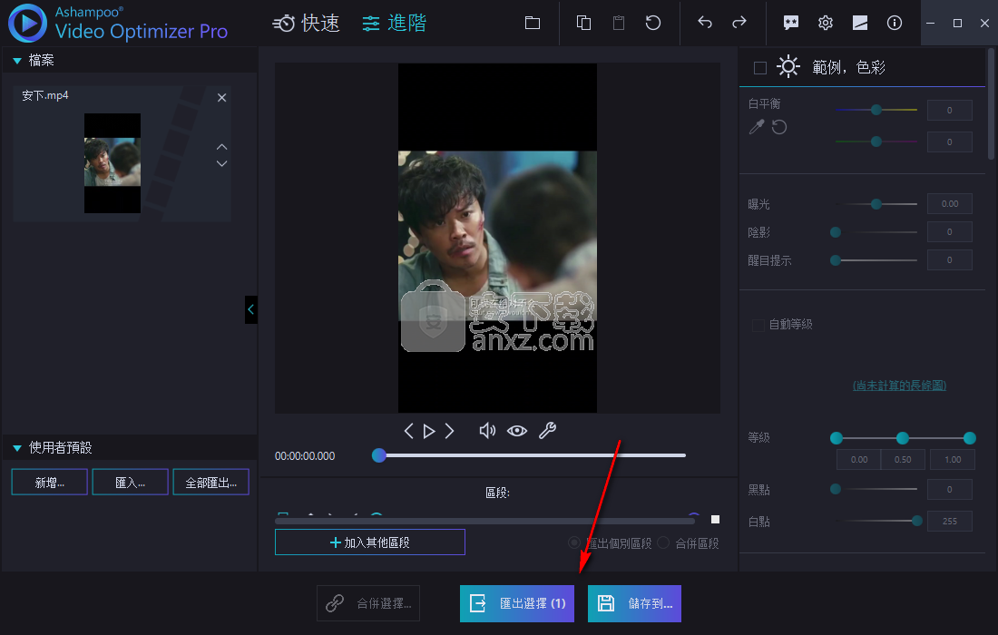 Ashampoo Video Optimizer Pro(视频增强软件)