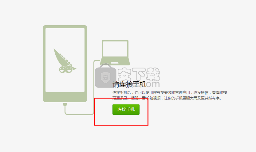 豌豆荚
