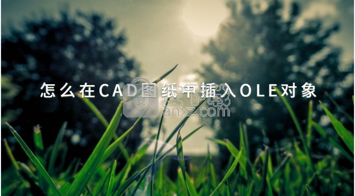 迅捷CAD编辑器(CADEditorX)