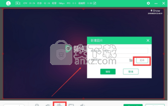 蝌蚪直播伴侣