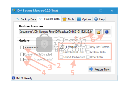 IDM Backup Manager(IDM备份管理器)