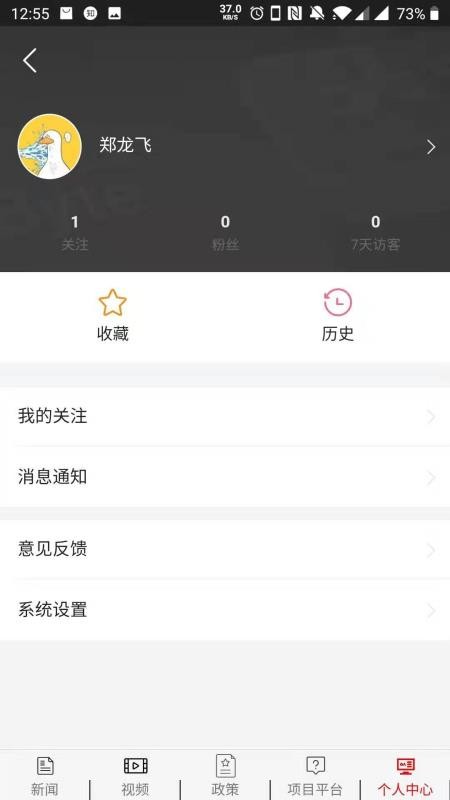 能投条
