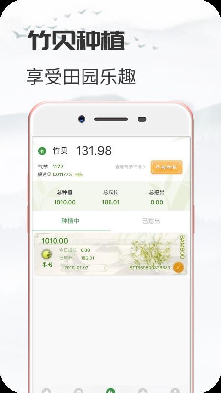 竹贝