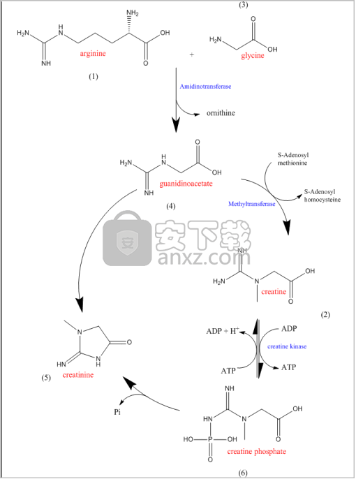 ChemDrawStd