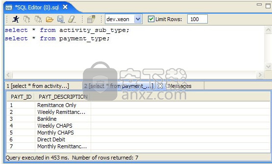 SQL Explorer(SQL资源管理器)
