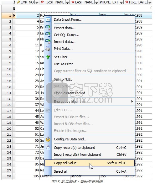 MS Compact Maestro(SQL开发管理工具)