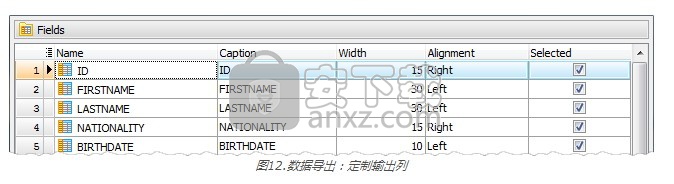 MS Compact Maestro(SQL开发管理工具)