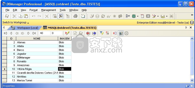 DBTools Manager(数据库管理工具)