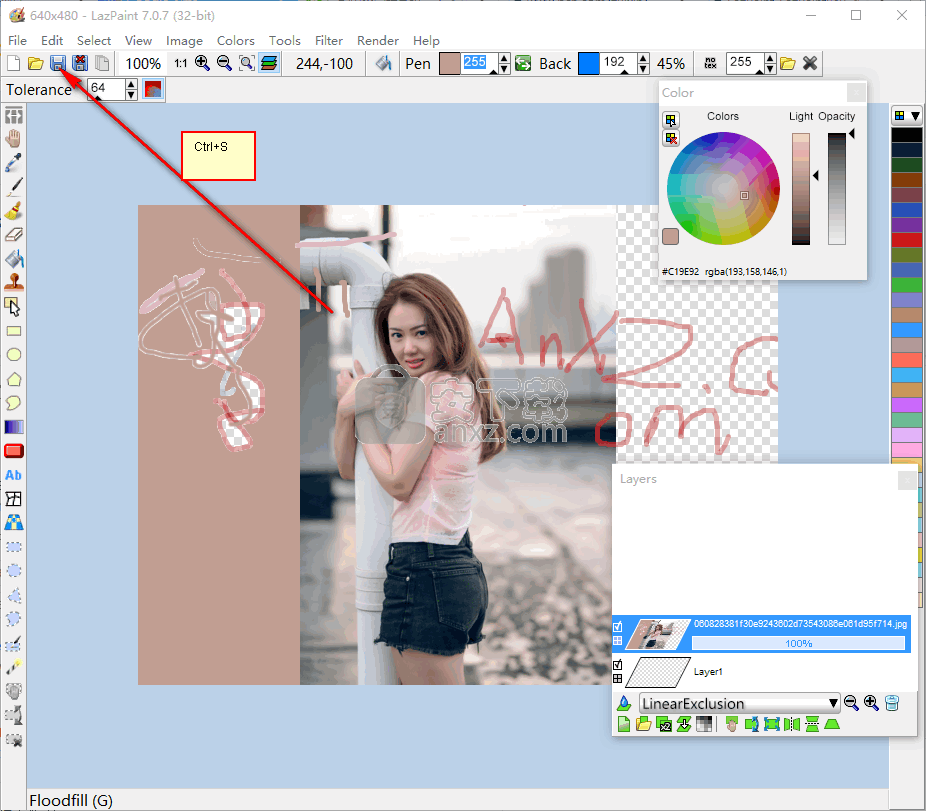 LazPaint