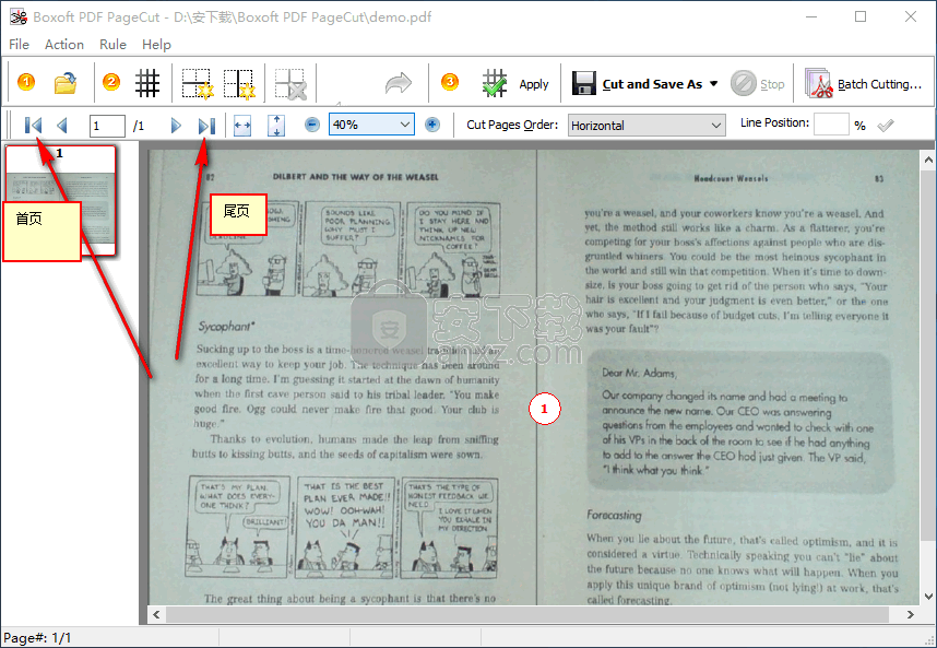 Boxoft PDF PageCut