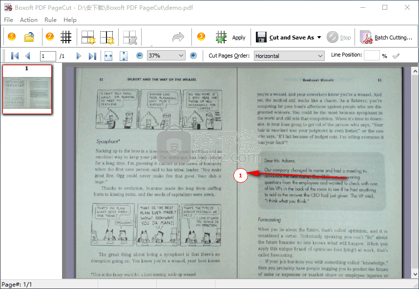 Boxoft PDF PageCut