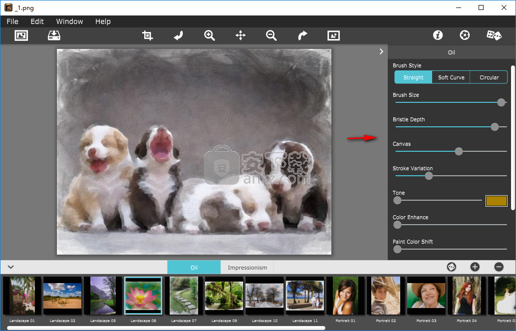 PhotoArtista Oil(照片转艺术化效果工具)