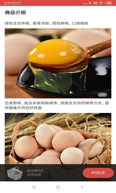 快跑Z