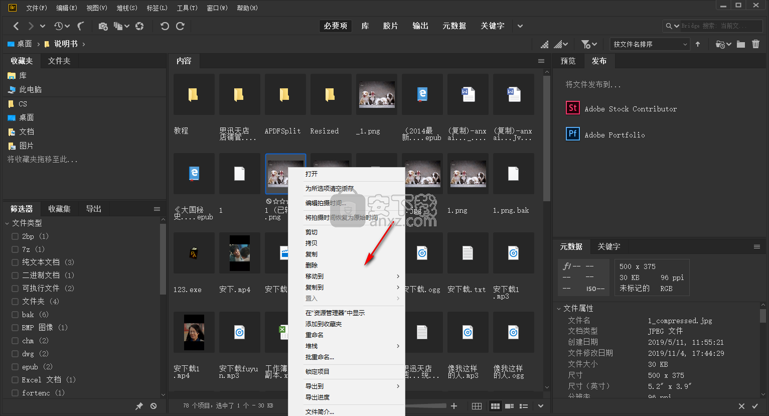 adobe bridge cc 2020中文