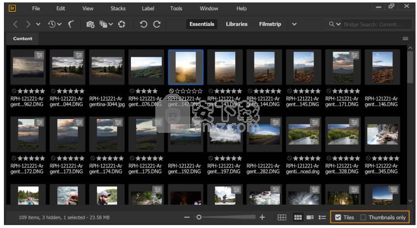 adobe bridge cc 2020中文