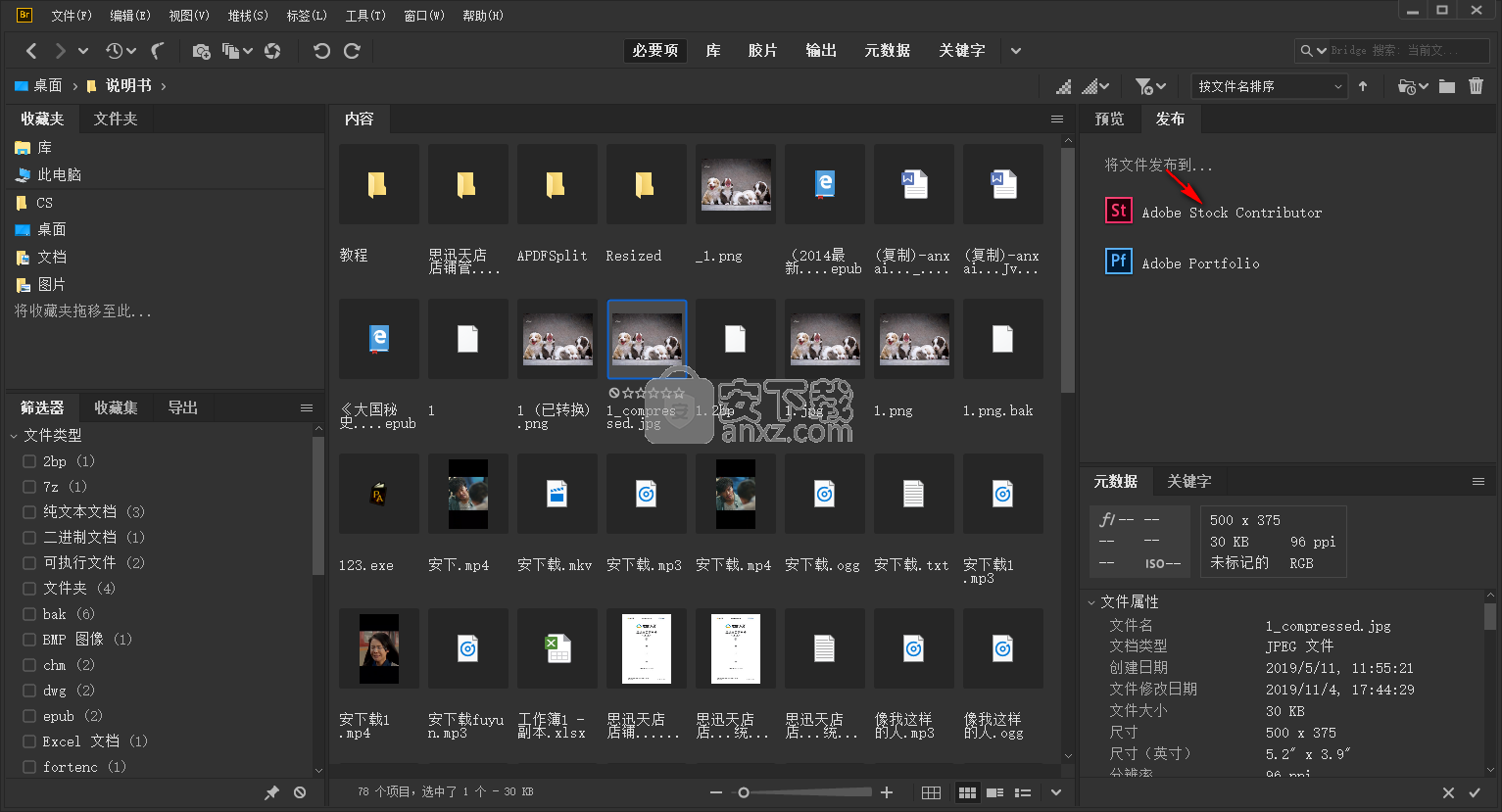 adobe bridge cc 2020中文