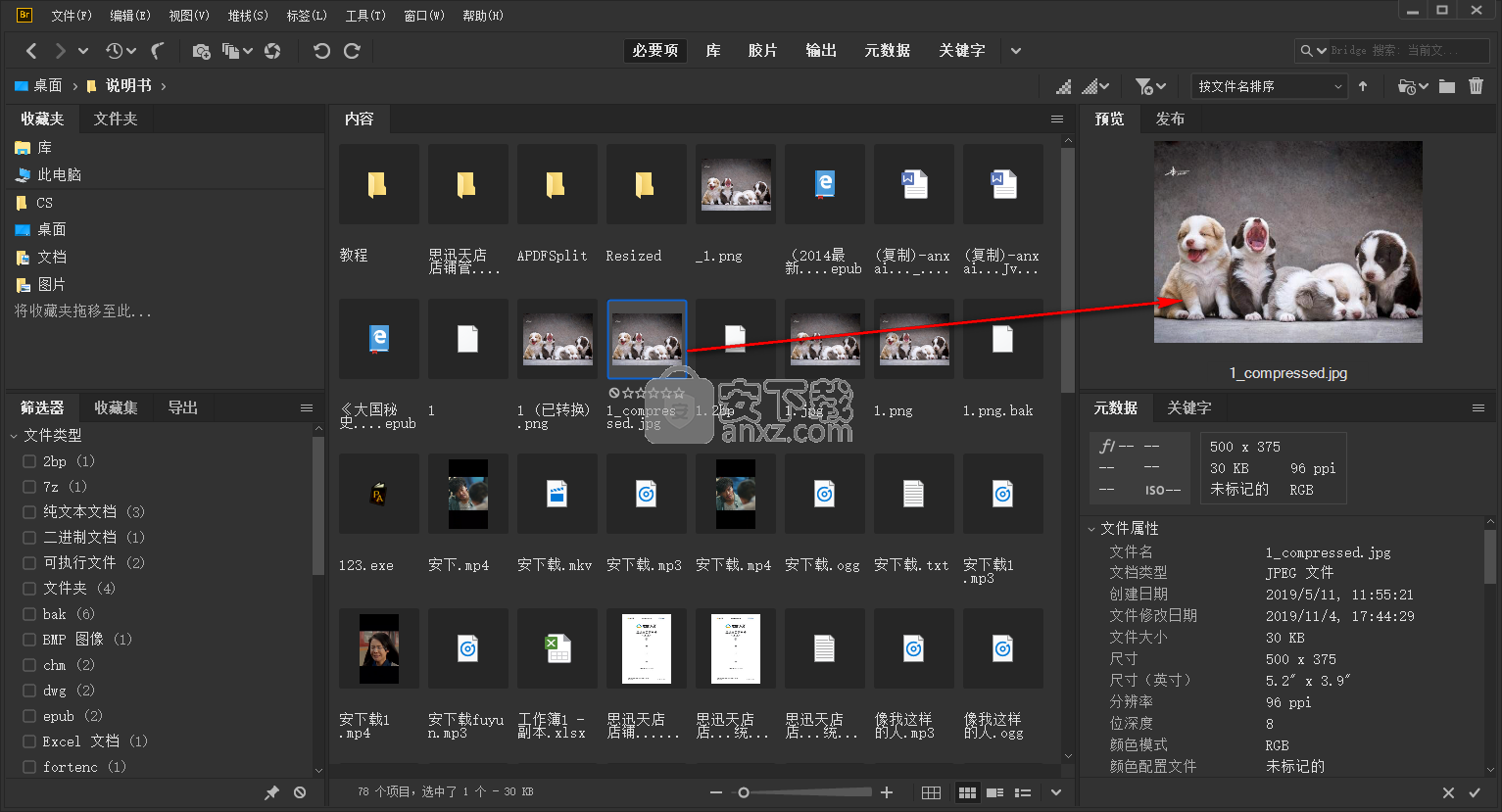 adobe bridge cc 2020中文