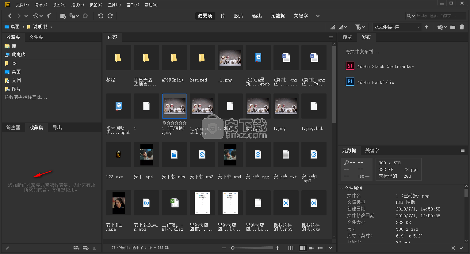 adobe bridge cc 2020中文